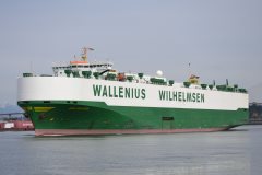 Thumbnail Image for Don Quijote