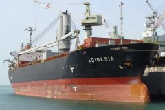 Thumbnail Image for Adinesia