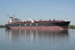 Thumbnail Image for UACC Mansouria