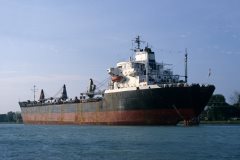 Thumbnail Image for Finikas oncontextmenu=