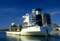 Thumbnail Image for Forest Bay oncontextmenu=