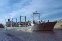 Thumbnail Image for Marigo