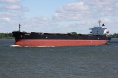 Thumbnail Image for Salandi