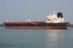 Thumbnail Image for Leopard Star oncontextmenu=