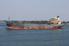 Thumbnail Image for Butterfly oncontextmenu=