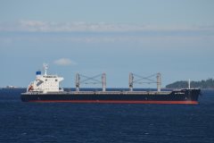 Thumbnail Image for La Stella