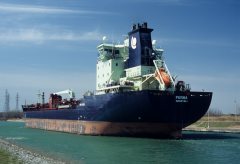 Thumbnail Image for Purha oncontextmenu=