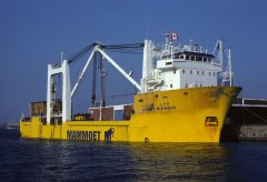 Thumbnail Image for Happy Runner oncontextmenu=