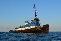 Thumbnail Image for Barbara Andrie oncontextmenu=