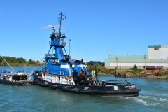 Thumbnail Image for Sarah Andrie