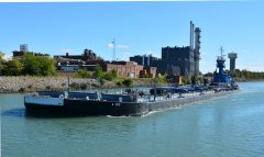 Thumbnail Image for Sarah Andrie