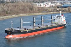 Thumbnail Image for Global Aglaia oncontextmenu=