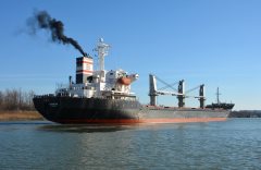 Thumbnail Image for Ida oncontextmenu=