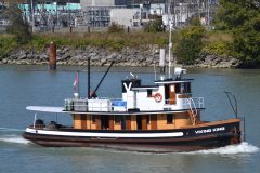 Thumbnail Image for Viking King oncontextmenu=