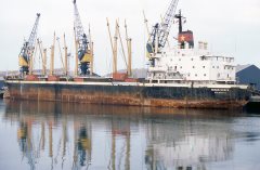 Thumbnail Image for Indian Grace oncontextmenu=