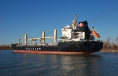 Thumbnail Image for Regalica oncontextmenu=