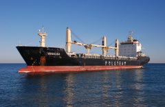 Thumbnail Image for Regalica oncontextmenu=