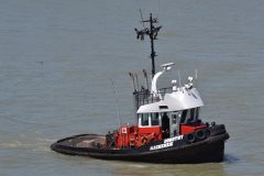 Thumbnail Image for Dorothy Mackenzie