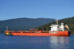 Thumbnail Image for Celsius Monaco