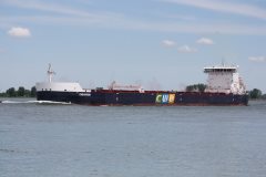 Thumbnail Image for CWB Marquis