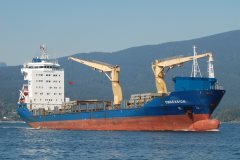 Thumbnail Image for Obsession