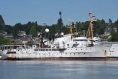 Thumbnail Image for Miller Freeman