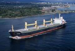 Thumbnail Image for Anatoli oncontextmenu=