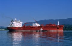 Thumbnail Image for Bow Cardinal oncontextmenu=