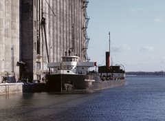 Thumbnail Image for William H. Daniels