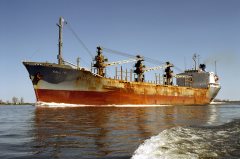 Thumbnail Image for Kallio