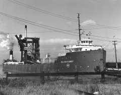 Thumbnail Image for William E. Corey