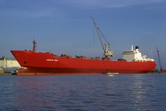 Thumbnail Image for Laurentian Forest