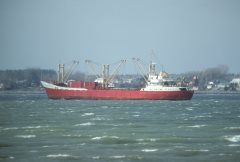 Thumbnail Image for Edgar Jourdain