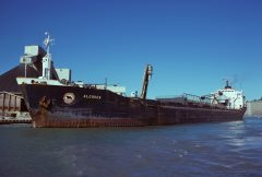 Thumbnail Image for Algosea
