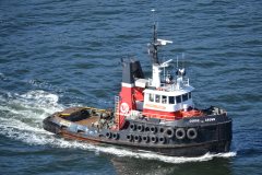 Thumbnail Image for Comox Crown