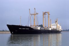 Thumbnail Image for Adel Weert Wiards