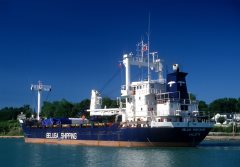 Thumbnail Image for Beluga Performer