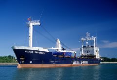 Thumbnail Image for Beluga Performer