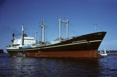 Thumbnail Image for Luise Bornhofen