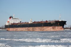 Thumbnail Image for Brook Trout oncontextmenu=