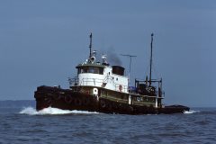 Thumbnail Image for John M. Selvick