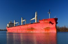 Thumbnail Image for Federal Yukina oncontextmenu=