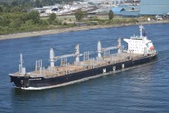 Thumbnail Image for African Macaw oncontextmenu=