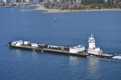 Thumbnail Image for One Cure oncontextmenu=