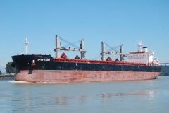 Thumbnail Image for Spar Hydra