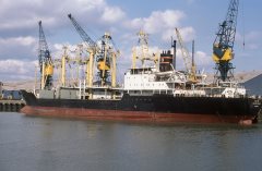 Thumbnail Image for Vishva Mohini oncontextmenu=