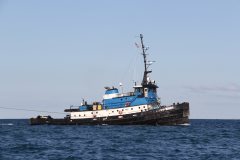 Thumbnail Image for Barbara Andrie oncontextmenu=