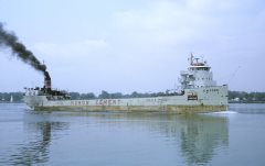 Thumbnail Image for E.M. Ford