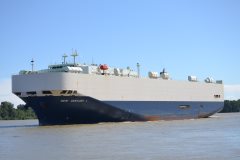 Thumbnail Image for New Century 1 oncontextmenu=