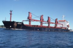 Thumbnail Image for Borzna oncontextmenu=